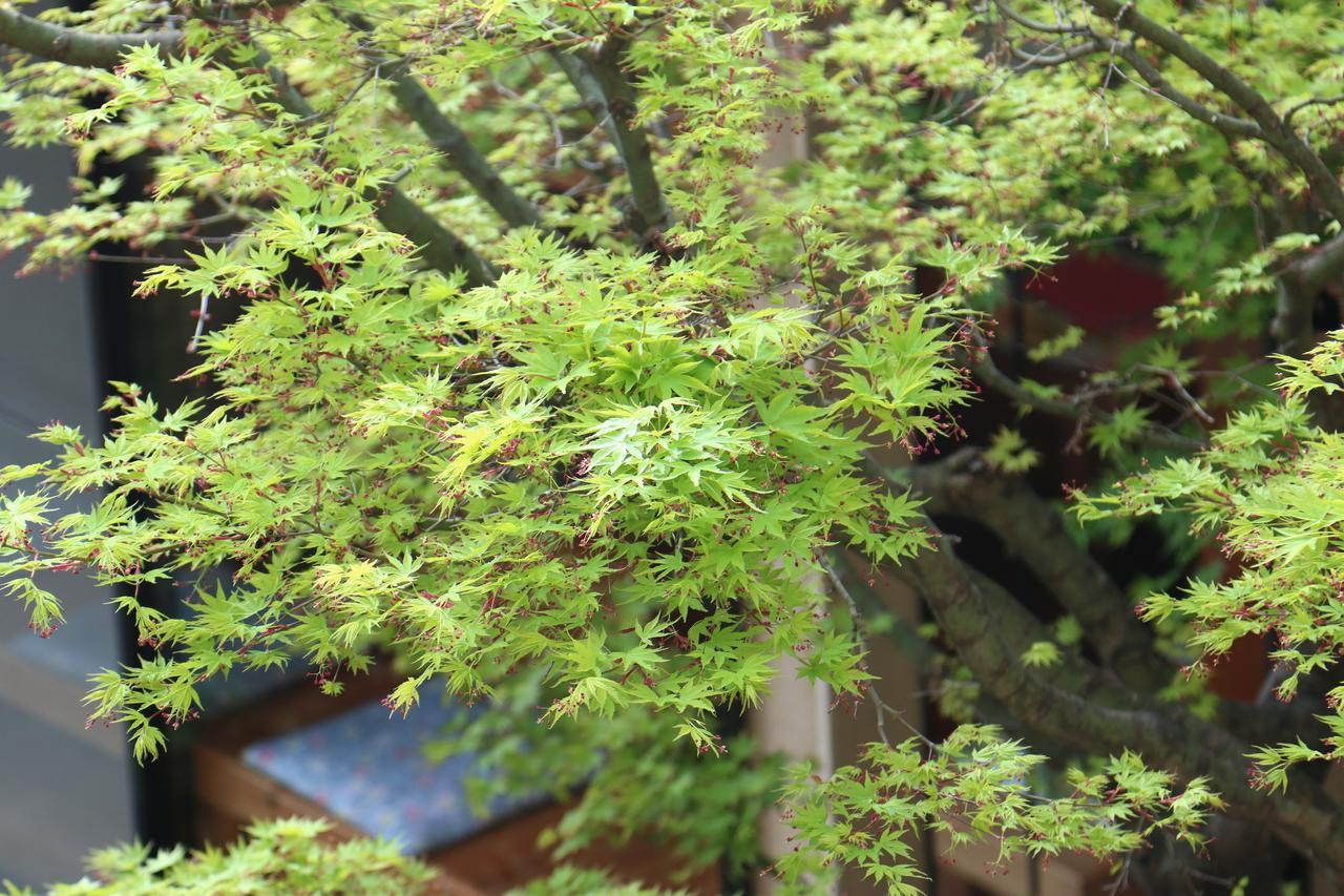 Okaya Ryokan Okitsu Dış mekan fotoğraf