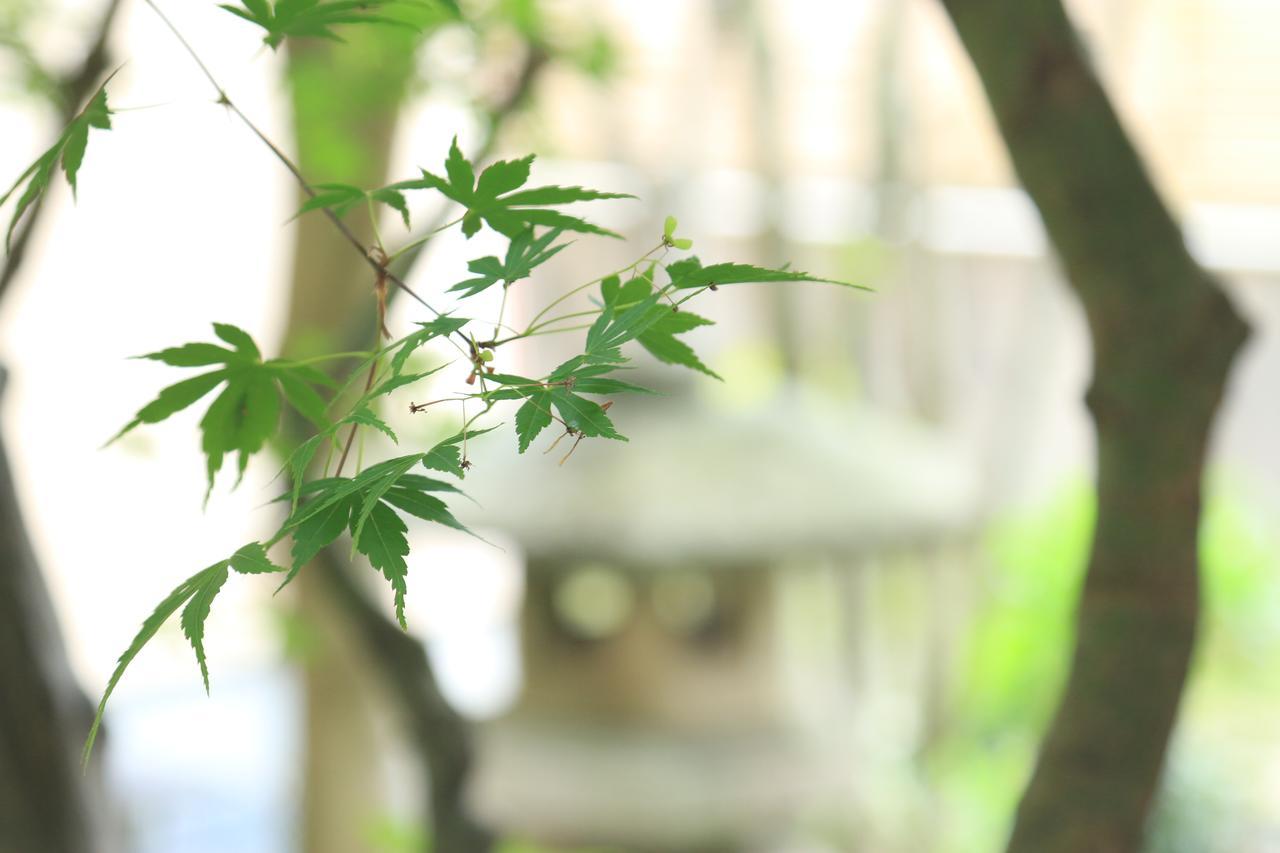 Okaya Ryokan Okitsu Dış mekan fotoğraf